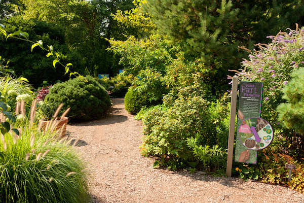 Everett Children's Adventure Garden | NYBG