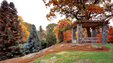 Beneson Ornamental Conifers