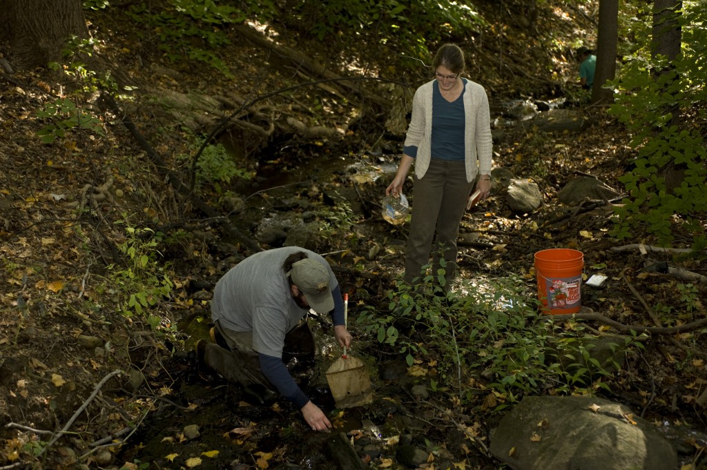 Manager of the Forest Jessica Arcate-Schuler and WIldlife Biologist Michael McGraw