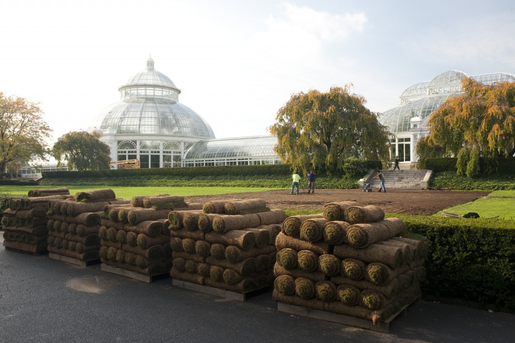 Sod in Front of the Conservatory