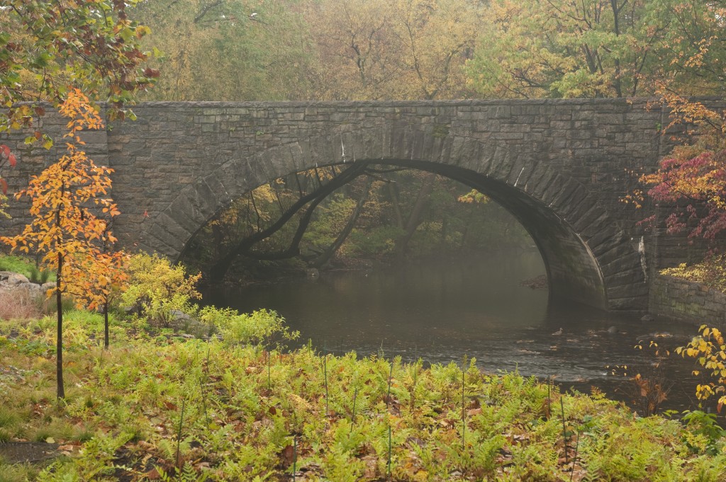 Hester Bridge