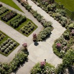 Peggy Rockefeller Rose Garden