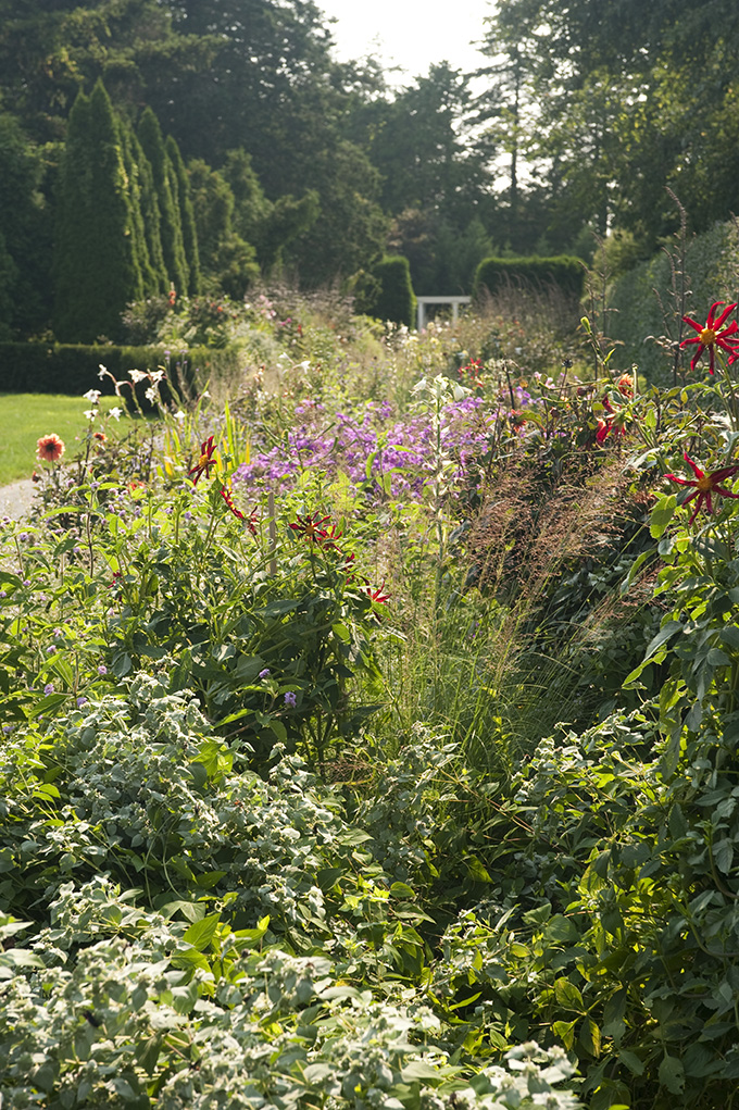 Morning Eye Candy: The End of Summer - Plant Talk