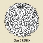 Class 2 Reflex