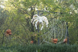 The Haunted Pumpkin Garden