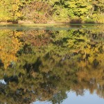 Fall Foliage on Twin Lakes