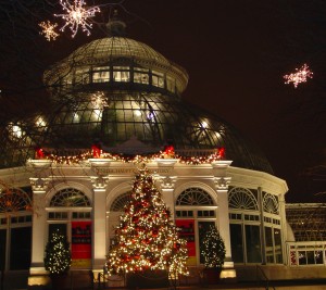 Holiday Train Show