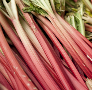 Rhubarb