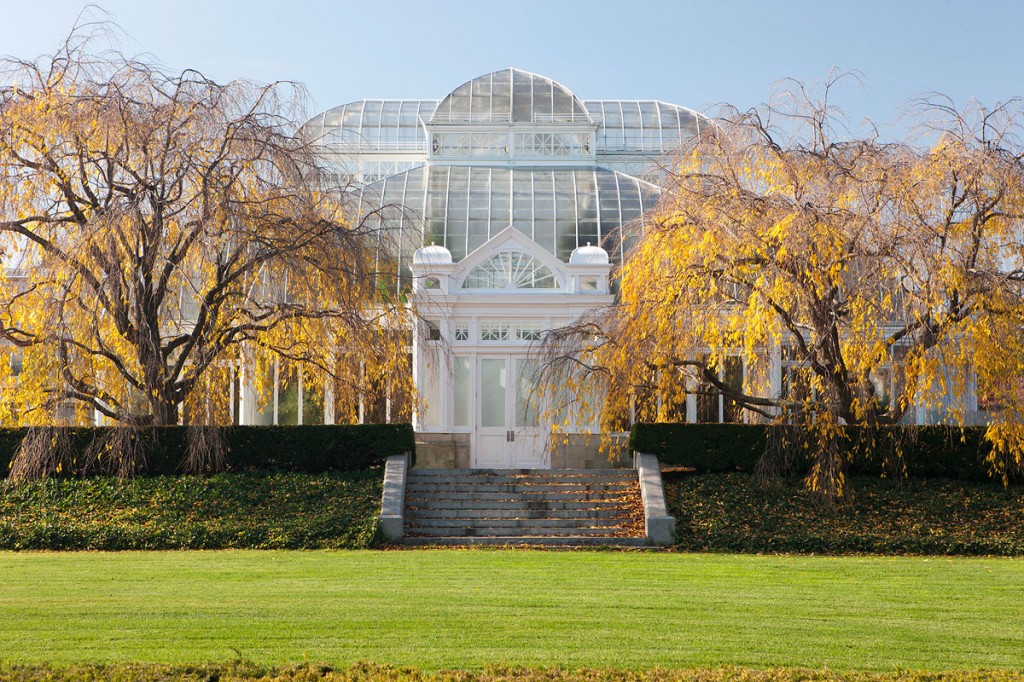 Enid A. Haupt Conservatory Archives - Plant Talk