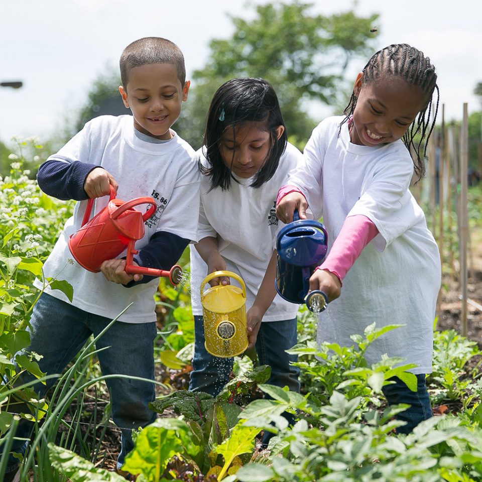 The Edible Academy | New York Botanical Garden