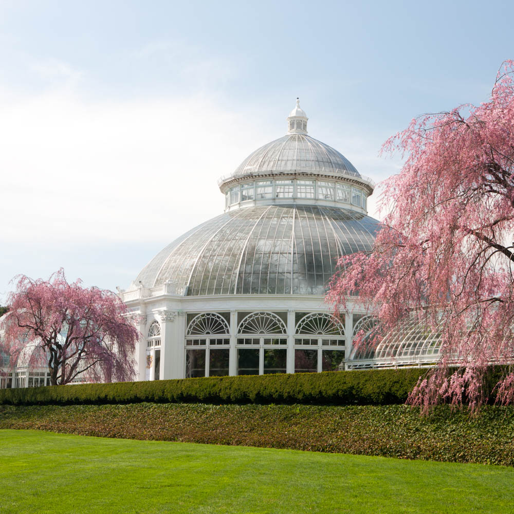 Press Room » New York Botanical Garden