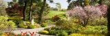 Photo of the Perennial Garden