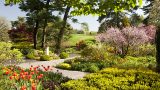 Photo of the Perennial Garden