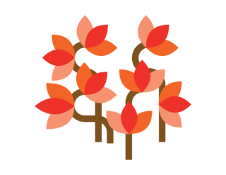 An illustration of red, orange, and pink leaves growing on curling brown stems