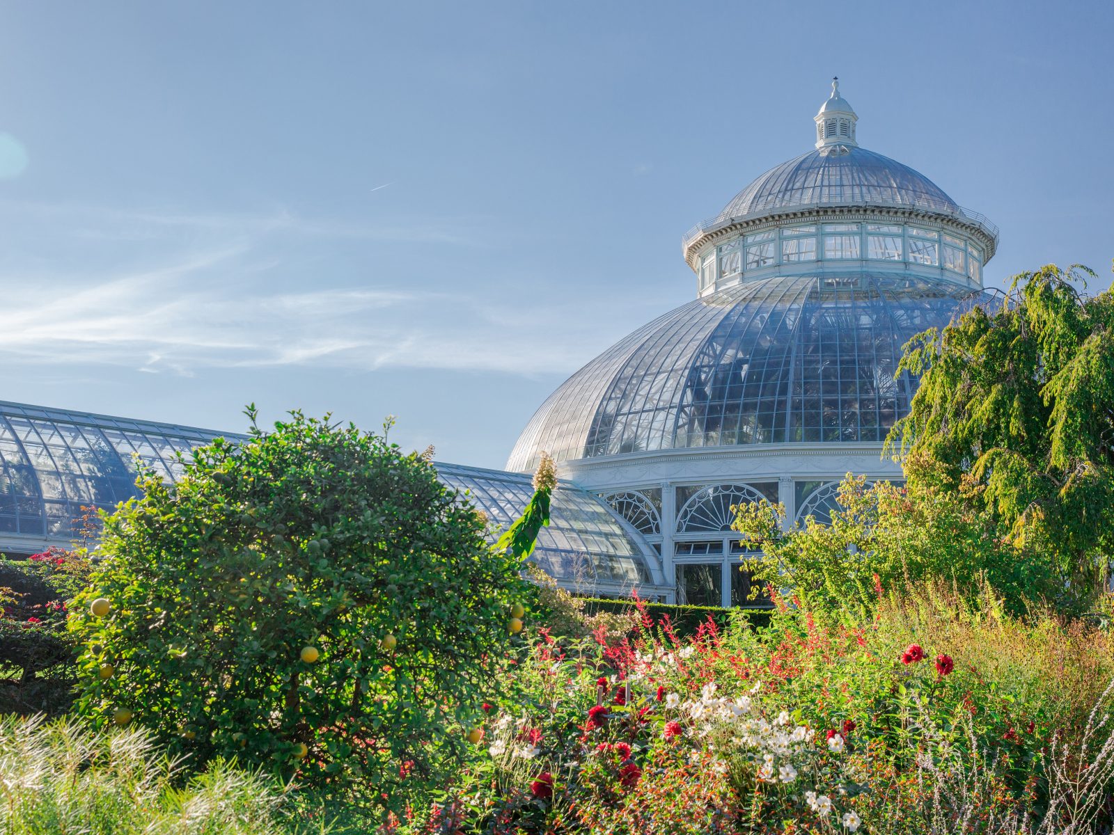 About | New York Botanical Garden