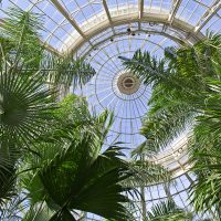 NYBG at Home for Kids & Families | New York Botanical Garden