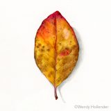 Fall leaves in watercolor