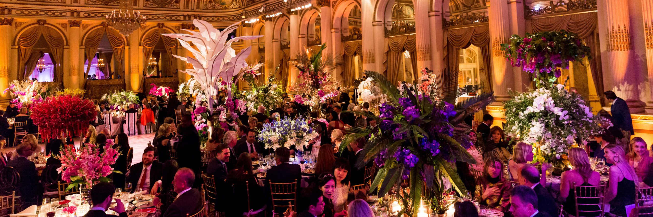 The Orchid Dinner 2024 New York Botanical Garden   The Plaza Atmosphere  3.1 2560x853 