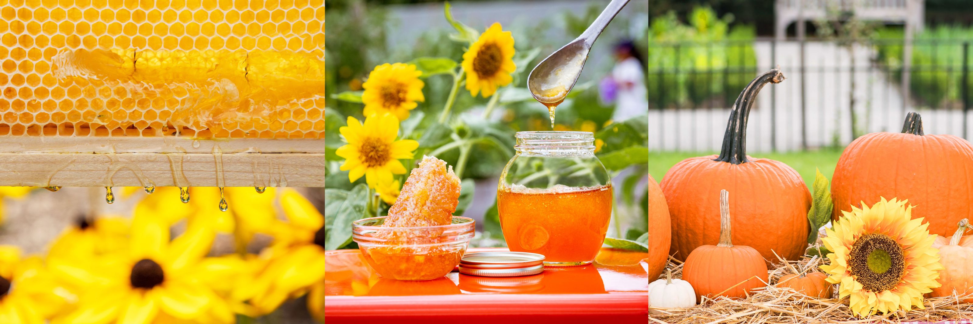 Honey & Harvest Weekend » New York Botanical Garden