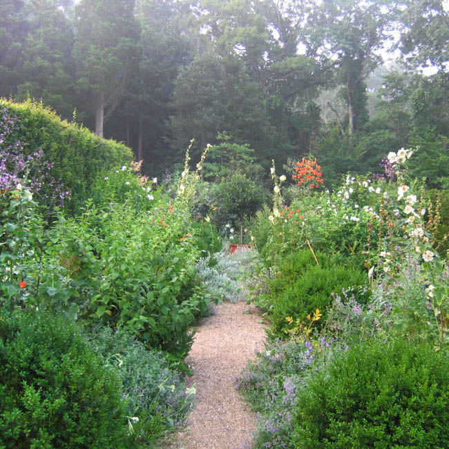 The Garden Came First: Deborah Nevins | New York Botanical Garden