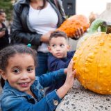 Photo of a child pushing a pumpkin off a ledge