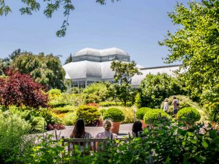 Perennial Garden » New York Botanical Garden