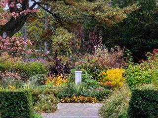 Perennial Garden » New York Botanical Garden