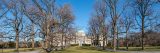 Bare, tall, brown trees lining the tulip tree allee surrounded by green grass all leading up to the Mertz Library building below blue skies.