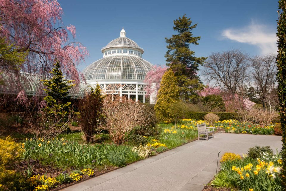 Rooms of the Perennial Garden » New York Botanical Garden