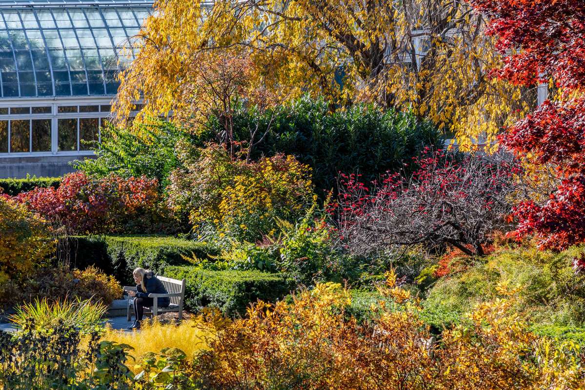 Rooms of the Perennial Garden » New York Botanical Garden