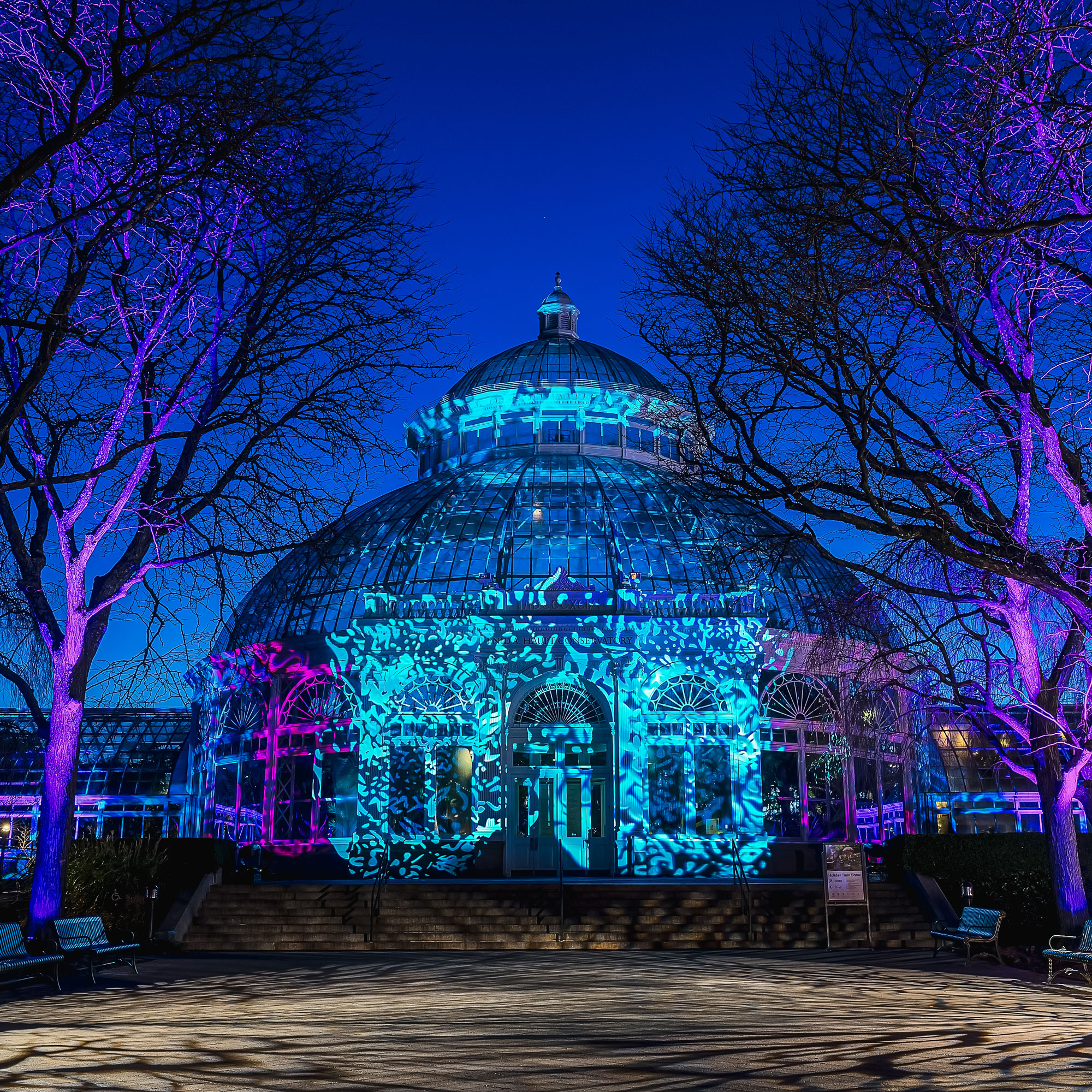 NYBG GLOW » New York Botanical Garden