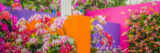 Flowers in pink and orange grow among structures painted bright orange, purple, and pink