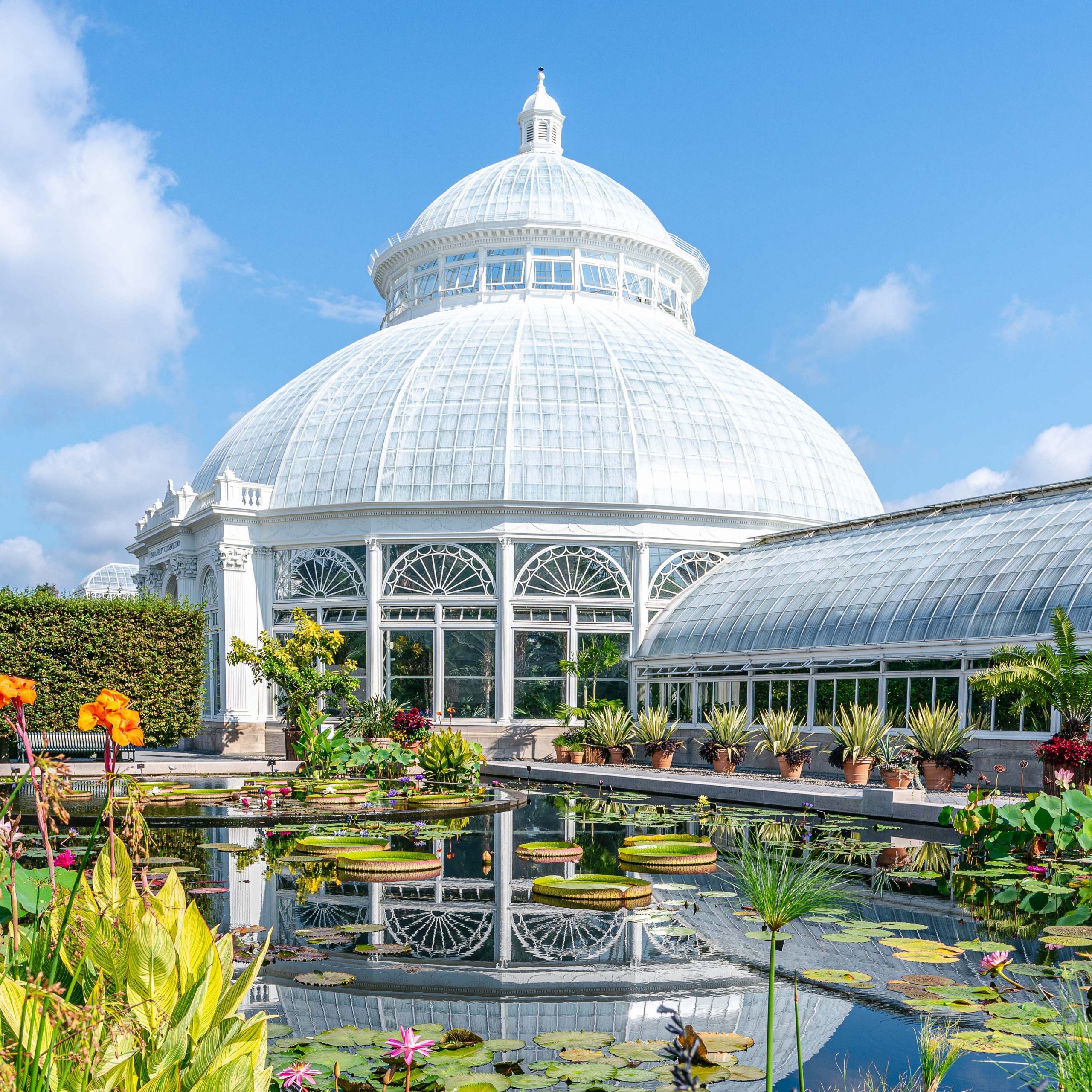 Who We Are | New York Botanical Garden