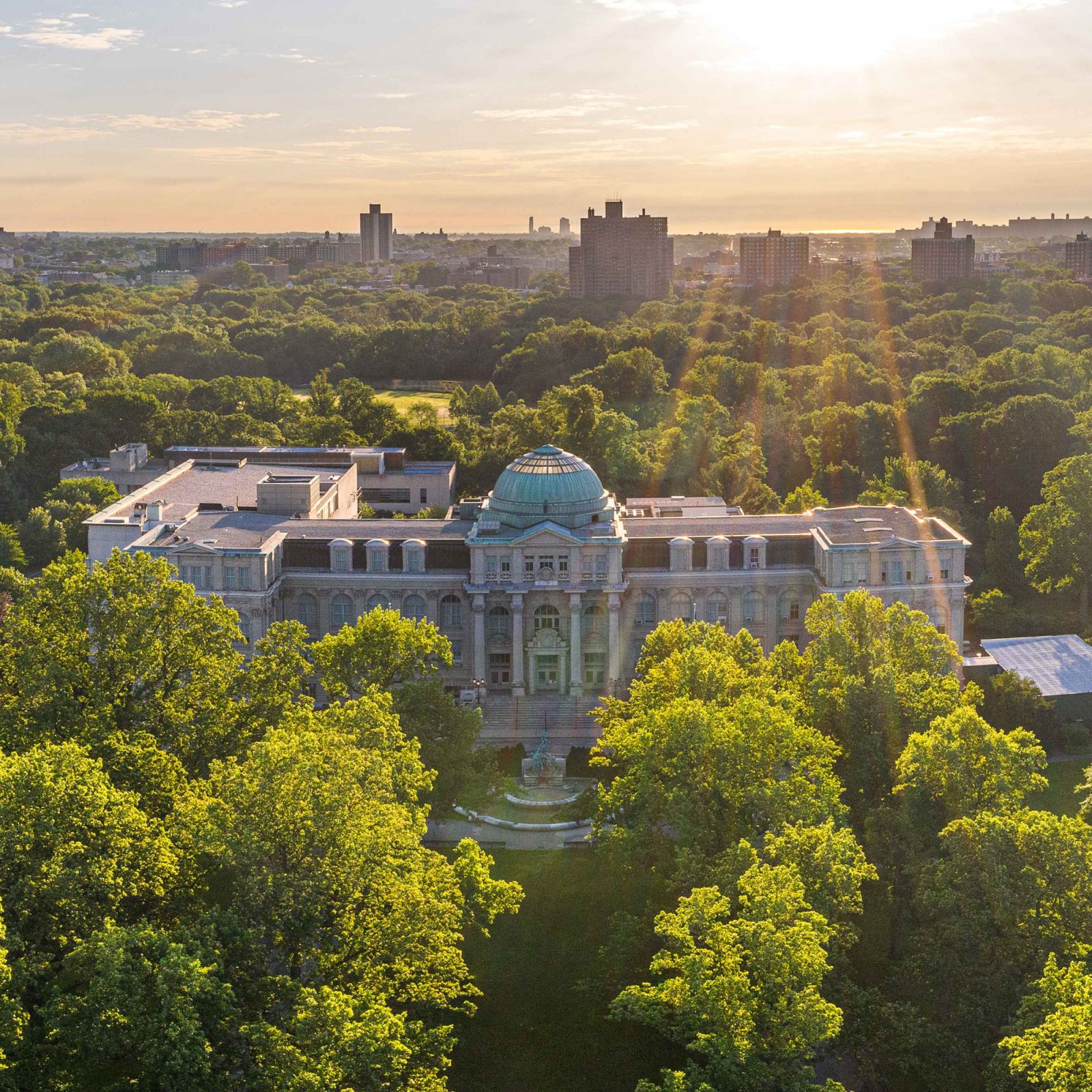 What's On » New York Botanical Garden