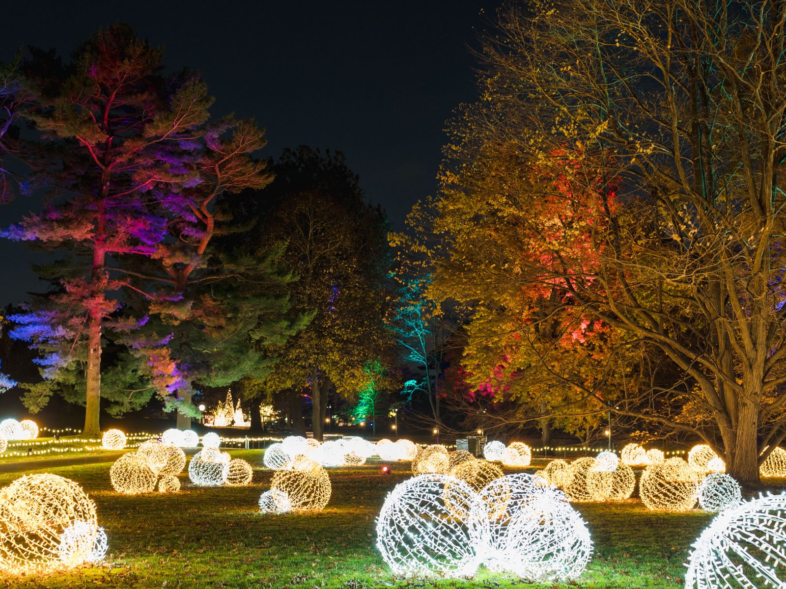 NYBG GLOW » New York Botanical Garden