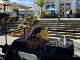 A person in a colorful halloween sweater carves a cat from a pumpkin on a sunny day