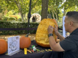 A person in a black T-shirt carves an elaborate pumpkin design outdoors