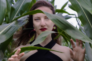 A person in a black dress emerges from a field of green cornstalks