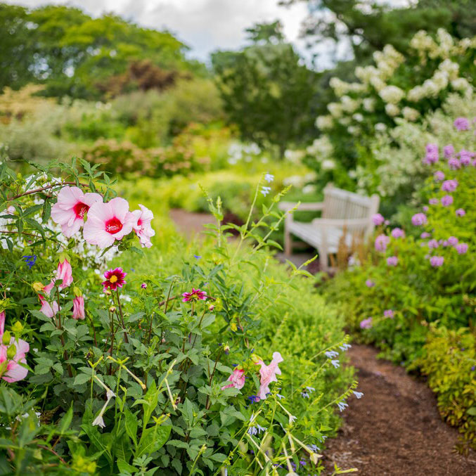 Just for Members | New York Botanical Garden