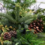 An arrangement of green conifer branches and brown pinecones