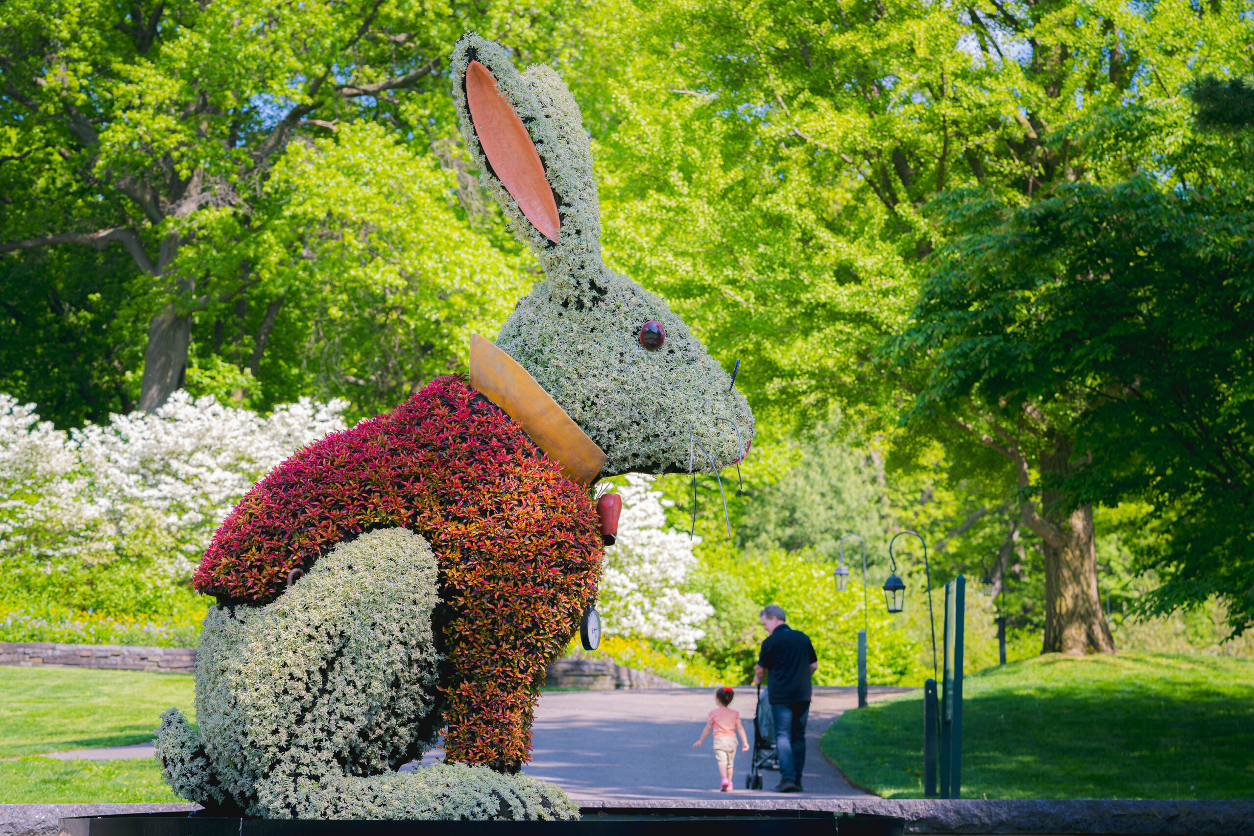 A large topiary shaped like a rabbit in a red coat sits in the sun outdoors, its coat and fur made up of white and red foliage and flowers