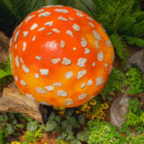 An overhead view of a giant red mushroom covered in white spots, sitting among moss and stones