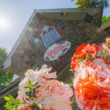 light pink artificial roses adorn the entrance to the Rose Court pop up