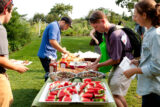 A barbecue with plates of watermelon, salad, and bread.