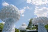 a pair of white mushroom sculptures stand in front of the Conservatory dome on a sunny, clear day