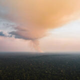 A thick forest with a fire at the horizon line, causing smoke to rise up into the sky and form a big cloud.