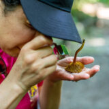 A person in a pink shirt and black baseball hat looks closely at a mushroom in her hand, using a magnifying lens.