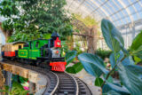 A red and green train travels along a toy track, surrounded by green foliage