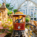 A small model train featuring a toy conductor moves through a sunny conservatory