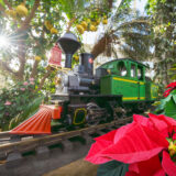 Old fashioned model train with red paneled front, black body, and green cabin with yellow details. On a black train track that is inside a tropical setting, next to a leafy green tree with large oval shaped yellow orbrs. On the other side of the train are bright red leaves in clusters with large green leaves under them and yellow centers. This is all under a small bit of blue sky visible from a glass ceiling with white metal ribbing.